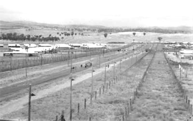 A general view of the space between the four compounds of the Cowra prisoner of war camp. 