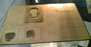 Internee Identity Card, 1941, Werner Hirschfeld Collection, Sydney Jewish Museum. Photograph Stephen Thompson