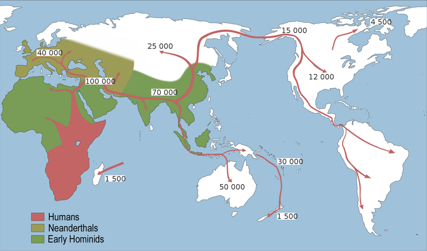 The migration of Homo sapiens from 150,000 to 40,000 years ago. Courtesy of Wikimedia