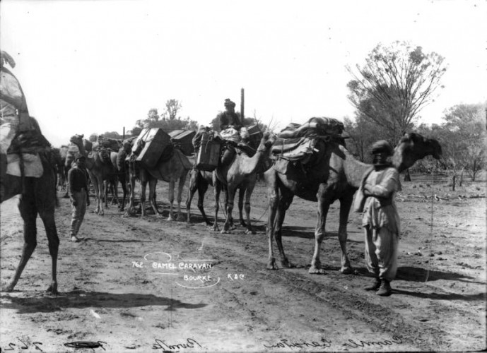 Afghan Cameleers at Bourke, c.1890. Courtesy Collection: Powerhouse   Museum