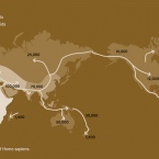 Human Migration Map