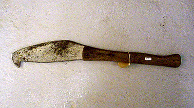 Long handled cane knife. Photograph Joanna Boileau