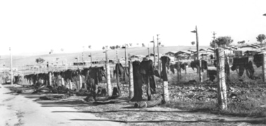 Blankets thrown over the barbed wire fence during the breakout. AWM.