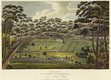 Alexander Riley's farm 'Raby' near Liverpool c.1826. Courtesy National Library of Australia 