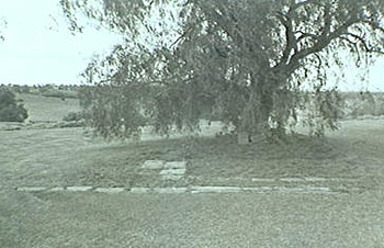 Photo: Remains of Meehan's Castle