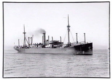 <em>Pfalz</em>, freighter of the North German Lloyd Line c.1915