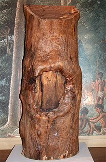 Scar Tree, c.2007