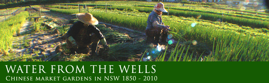 Water from the Wells - Chinese market gardens in NSW 1850-2010