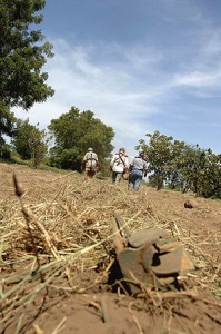 Mine clearance activities, southern Sudan. Courtesy: United Nations, Flickr Creative Commons