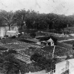 Brewery market garden in flood, Deniliquin