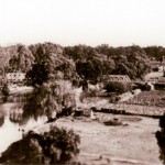 Chinese Camp & gardens, Narrandera