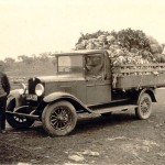 Frank Angnea, with his truck and a load of vegetables, north Wagga