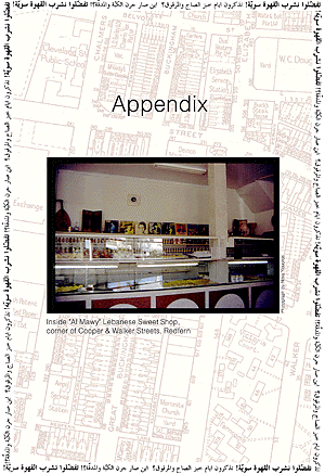 appendix